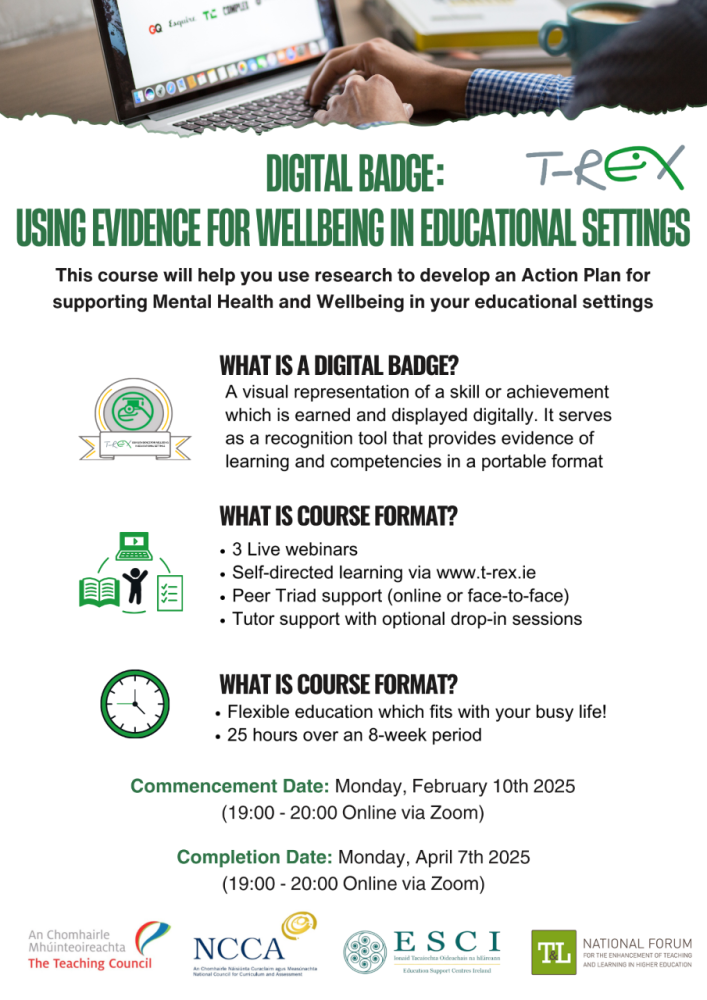 resizex trex research and reflective practice poster 1