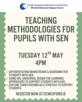 Teaching Methodologies for Pupils with SEN (Including Team Teaching)