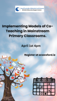 Implementing Models of Co-Teaching in Mainstream Primary Classrooms