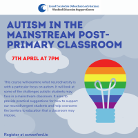 Autism in the Mainstream Post-Primary Classroom