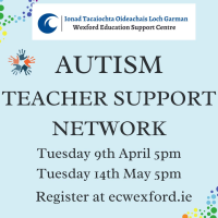 Autism Teacher Support Network
