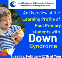 An Overview of the Learning Profile of Children with Down Syndrome at the Post Primary School Stage