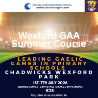 EPV Approved Summer Course - GAA - Leading Gaelic Games in Primary Schools - Blended Course
